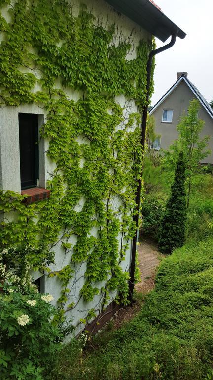 Haus Seefeld อึคเคอริทซ์ ภายนอก รูปภาพ